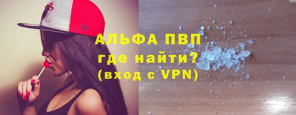 гашик Новозыбков