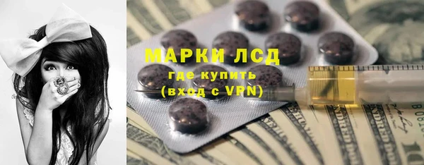 гашик Новозыбков