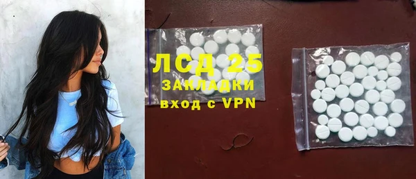 гашик Новозыбков