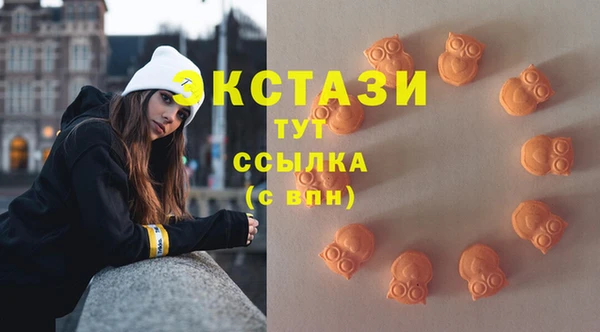 гашик Новозыбков
