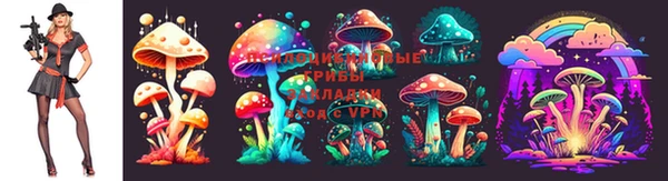 экстази Няндома