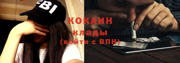 гашик Новозыбков