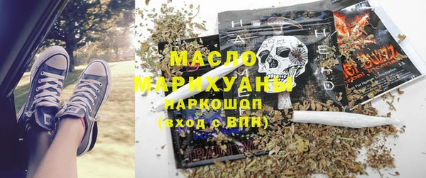 гашик Новозыбков