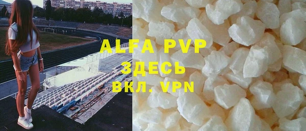 гашик Новозыбков