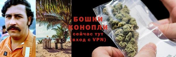 крисы Нягань